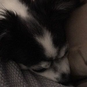 Meet your Posher, Tamrya